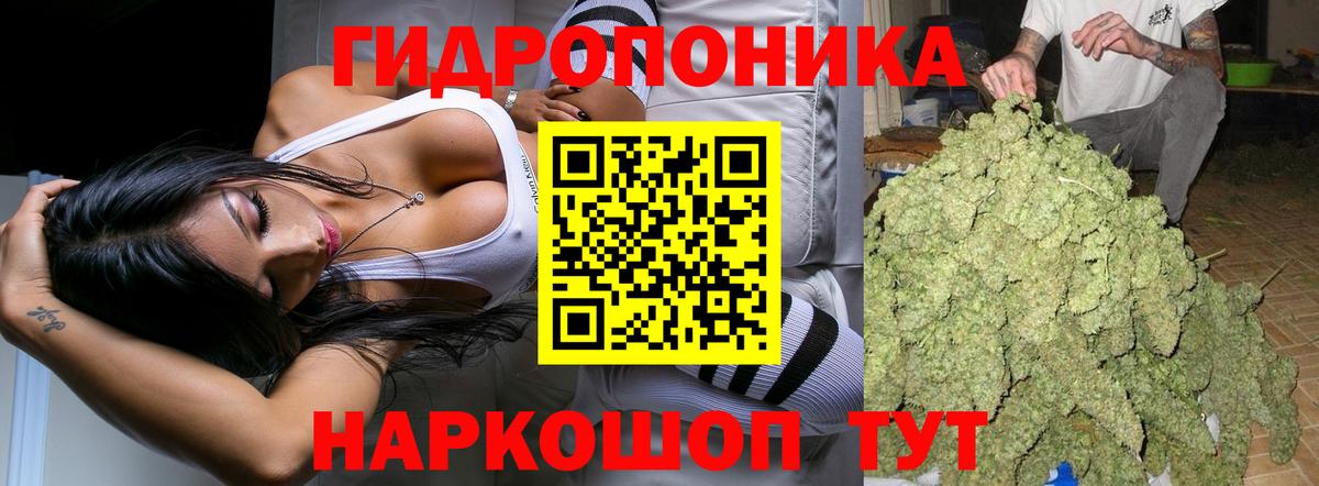 Конопля VHQ  Конопля ГИДРОПОН  Вход с VPN  Каннабис план  Людиново 